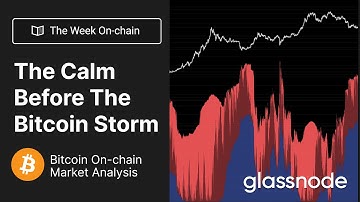 The Week On-chain: The Calm Before the Storm  - Week 41, 2022 (Bitcoin Onchain Anlaysis)