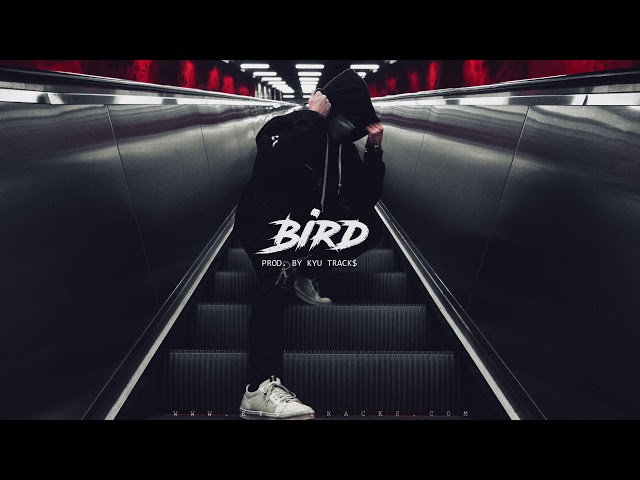 Free Sick Rap/Trap Beat - "BIRD" | Hard Type Beat Instrumental (prod. Kyu Tracks)