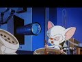 Pinky And The Brain Pinky Is Forced To Watch Sad Stuff Arabic 