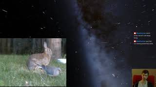 Space Engine for a bit(August 6 2020 Live Stream)