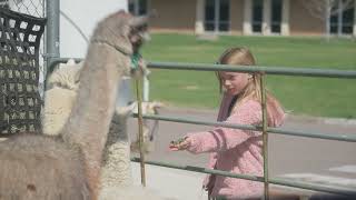 Longmont Earth Day 2026 Highlights