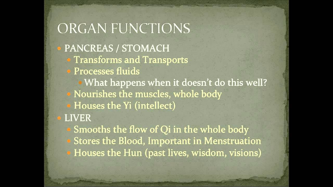 Liver Functions in Chinese Medicine YouTube