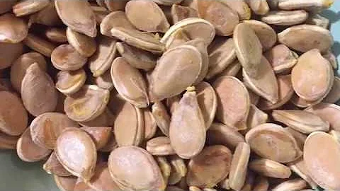 Come si mangiano i semi di zucca tostati?