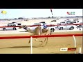 تصميم هجن بحر طامي 
