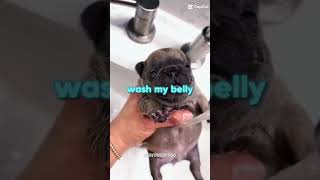 #kaboom #granny #chicken jockey #skibidi #tung-tung sahur #trending #rival