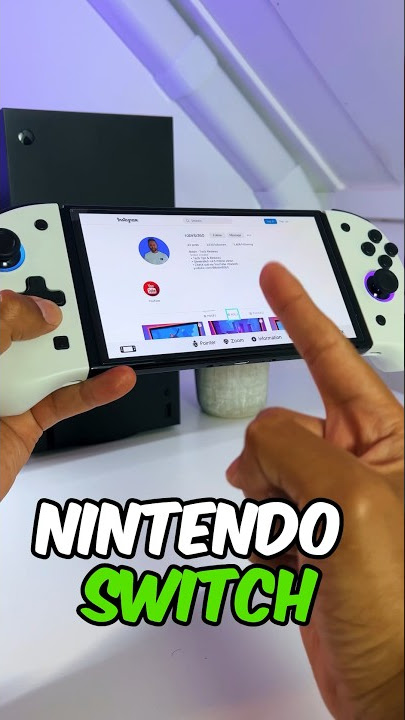 The Nintendo Switch Internet Browser 🛜