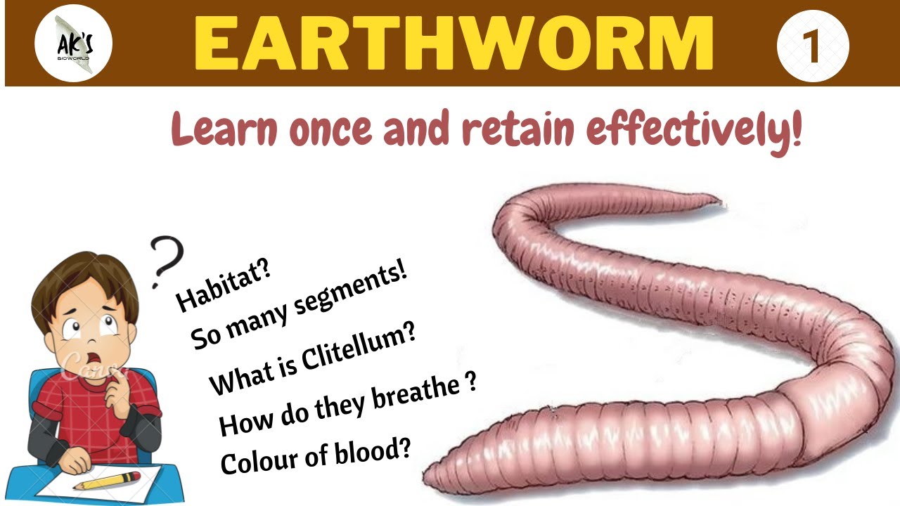 #earthworms