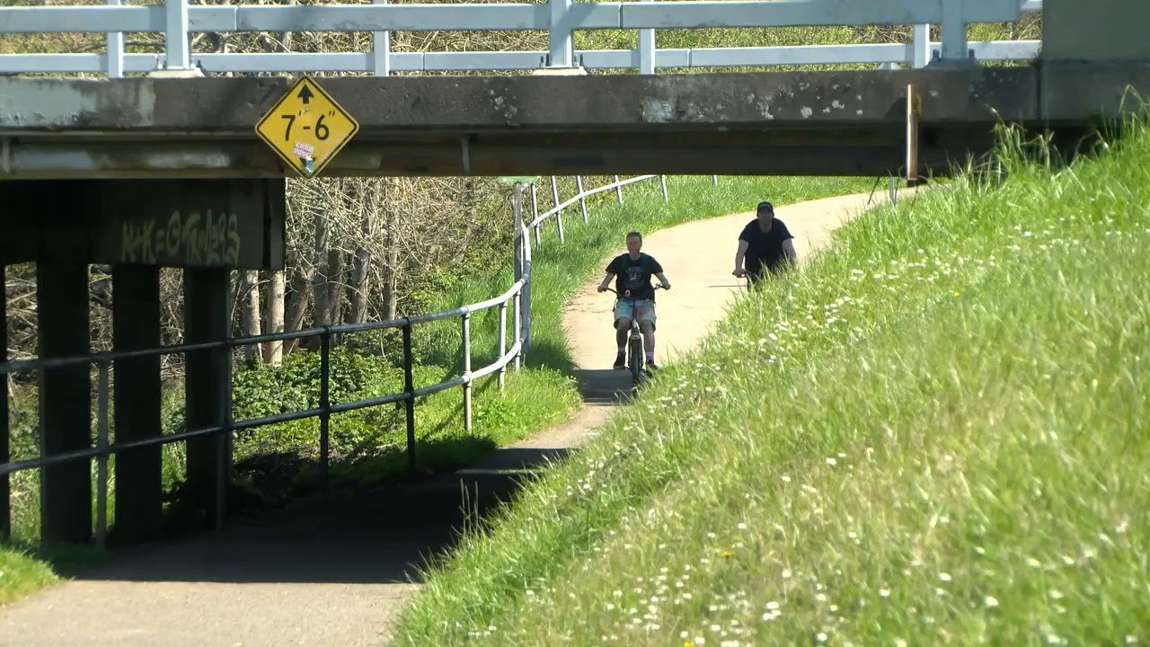 One of Eugene's most popular paths to get solar powered lights