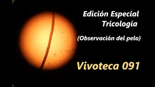 Vivoteca 91 Edición Especial Tricología Observación Del Pelo