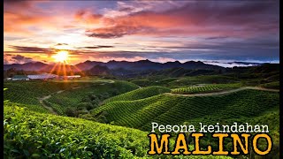 Pesona Keindahan Tempat Wisata Malino Sulawesi Selatan  Vlog