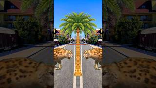 Ali mola ali dom dom #youtube #trending #vfx