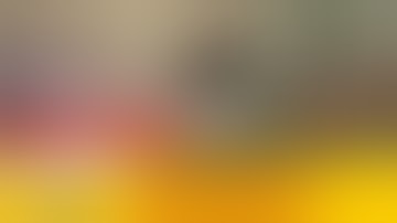 Thời sự toàn cảnh trưa 17/9: Ký ức kinh hoàng của những người vượt biên bị bắt cóc tống tiền | VTV24