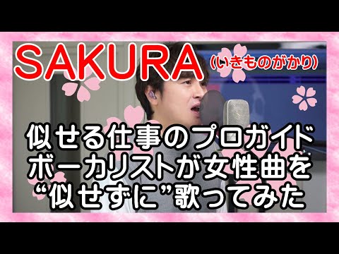【SAKURA / いきものがかり】 プロガイドボーカリストが女性曲を“似せずに”自由に歌ってみた