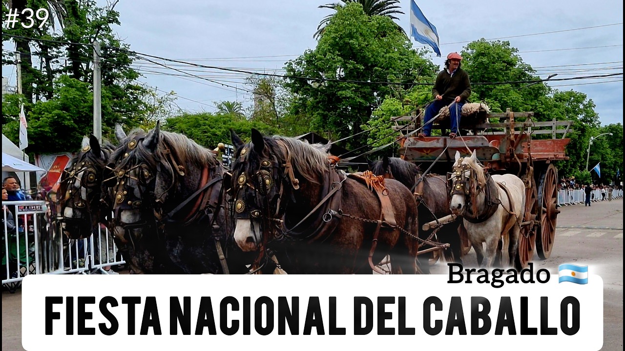 🐎 Fiesta Nacional del CABALLO en BRAGADO Provincia Buenos Aires ABRIENDOHUELLASXELMUNDO 🌎