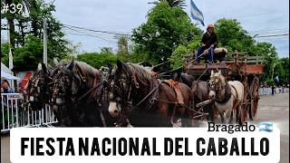 🐎 Fiesta Nacional del CABALLO en BRAGADO Provincia Buenos Aires ABRIENDOHUELLASXELMUNDO 🌎