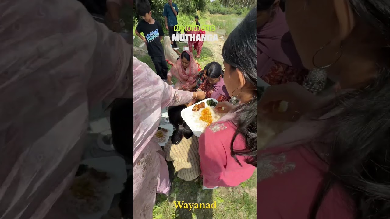 Wildlife Safari in Wayanad Forest Kerala 