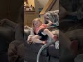 Little Girl Has Half Her Arm In Pet Dog S Mouth 1420331 