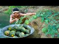 Survival in the rainforest  find fish meet watermelons near the river