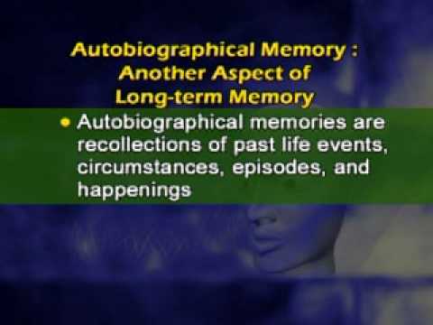 PSY101_Lecture24