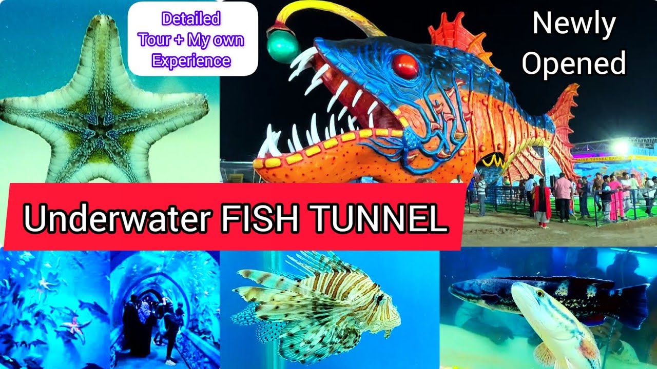Underwater Fish Aquarium Tunnel Attract Public In Hyderabad