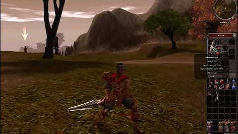 metin2 waffen +9 hack