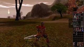 metin2 waffen +9 hack