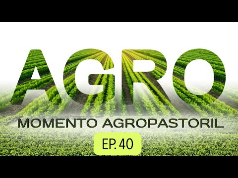 13/04/2025 - [MOMENTO AGROPASTORIL] - Igreja Cristã Maranata - 07H30 - EP.40
