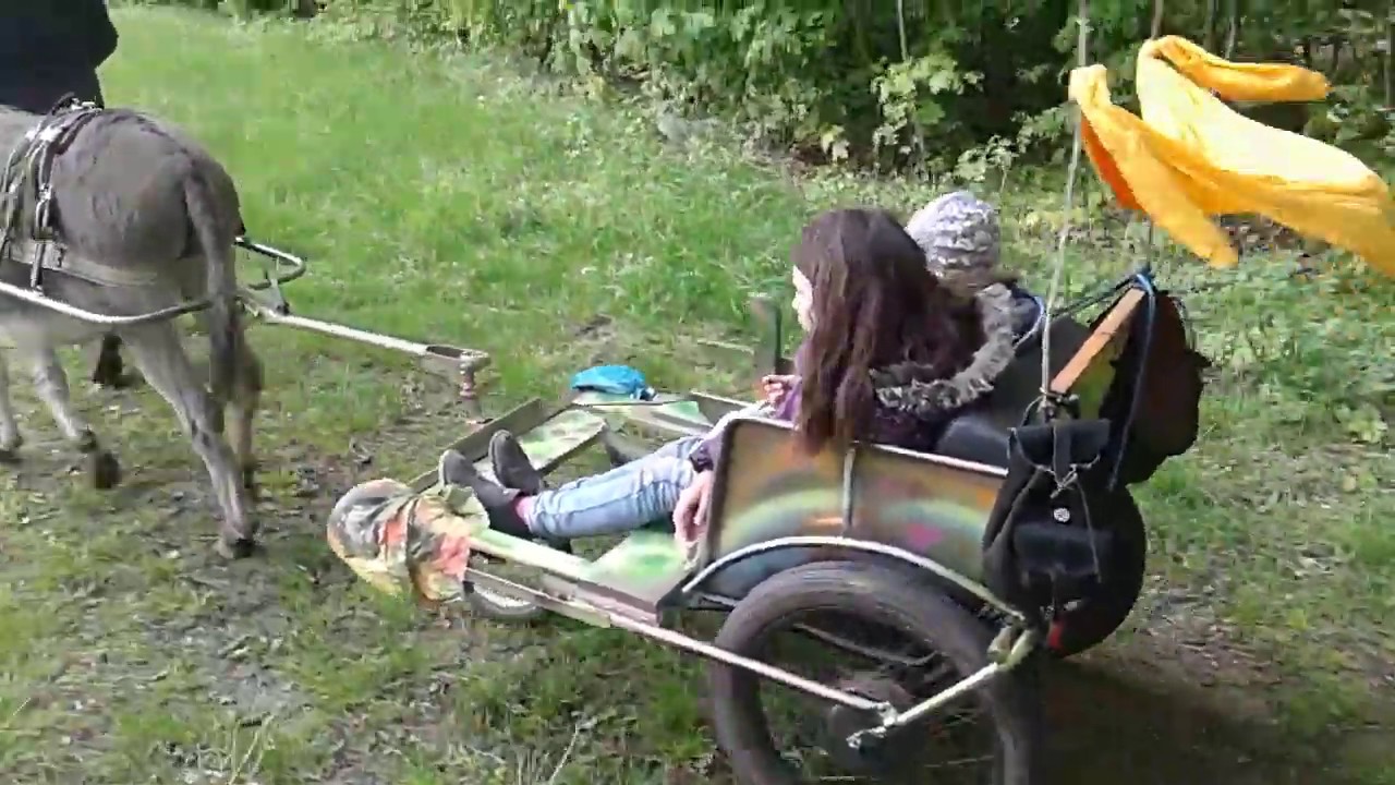 Eselwanderung mit 4 Eseln und Sulkyline