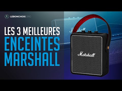 Vidéo: Haut-parleurs Puissants : Le Haut-parleur De Musique Le Plus Puissant Pour La Maison Et La Nature. Comment Choisir Une Enceinte Home Avec Carte Mémoire Et Batterie ?