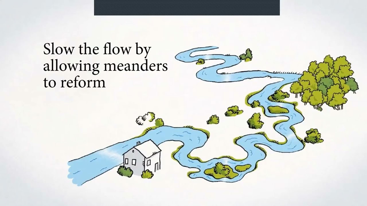 Water Quality in Ferrisburgh, Vermont and the Lake Champlain Basin