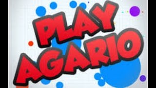GAMEPLAY AGARIO TEAM SPLIT RUN
