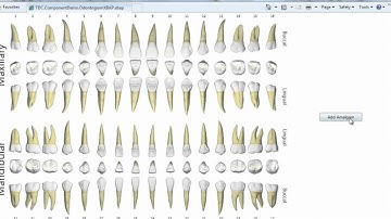 Odontogram Control Demo Part 2