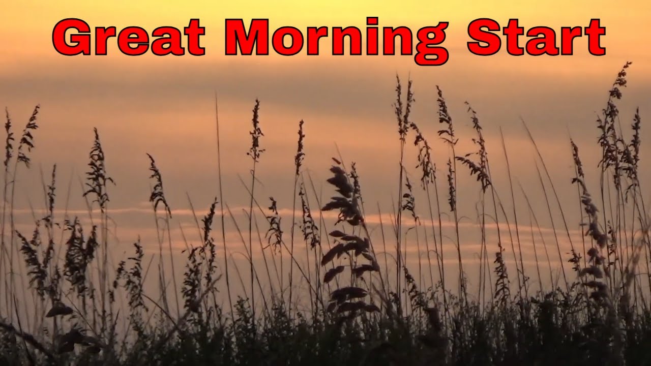 Sunrinse On The Beach & Alligators In The Alley - Huntington Beach State Park 