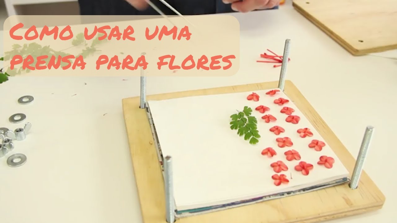 Como usar uma prensa para flores