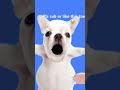 #singer