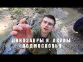 Динозавры и акулы в Подмосковье