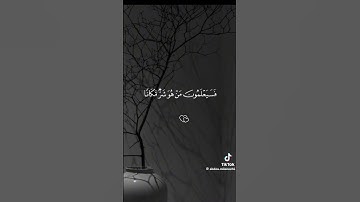 تلاوة فضيلة للقرآن الكريم🥀 عطر مسمعك بتلاوة من القرآن الكريم#تلاوة_خاشعة#قرآن#اكسبلور #qurantilawat