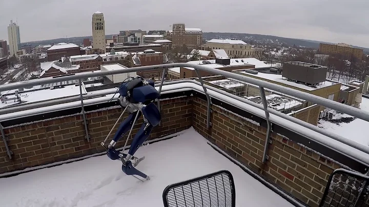 Cassie Blue's First Time to Play in the Snow