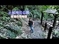 [台北旅遊攻略] 土城桐花公園的步道上鋪滿一片雪花，走在桐花地毯上心願達成