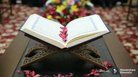 سورة الزلزله: القارئ بيشه قادر الكردي / تلاوه خاشعه