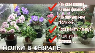:    |      |  