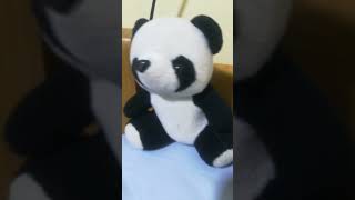 #pandapro
