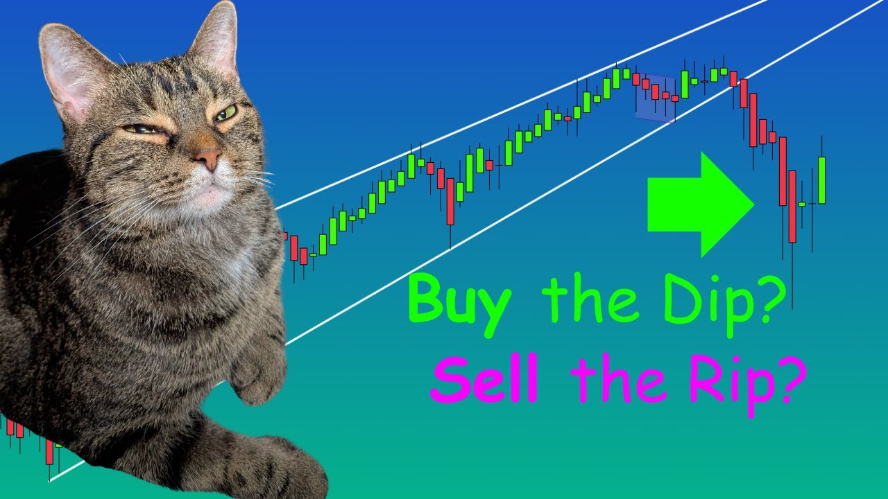 Is This a V-Shaped Recovery or Bear Market Rally??