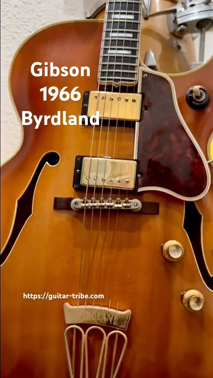 Gibson 1966 #Byrdland Ice Tea Burst #vintageguitar #ギブソン