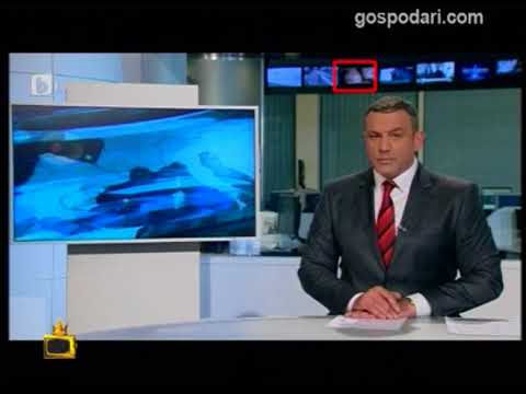Късните новини на BTV с едни гърди напред буквално