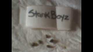 StankBoyzSeeds & OperationAardvarkSeeds TheSocialGrow
