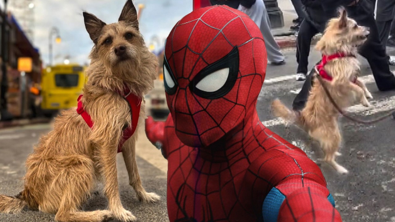 How Spider-Man: Brand New Day Pulled Off Those DOG Stunts
