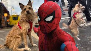 How Spider-Man: Brand New Day Pulled Off Those DOG Stunts