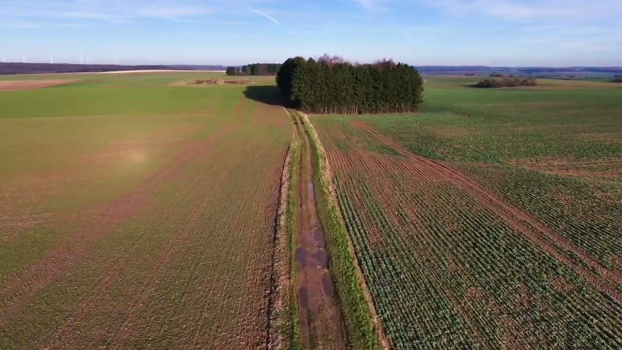 DJI Neo 2 first flight