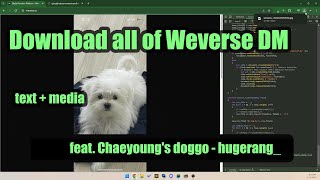 How to batch download Weverse DM content + text #fromis_9
